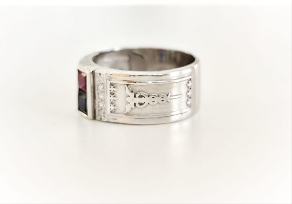 Imagem WhatsApp 2025-04-09 às 15.33.04_db64c19b Anel Académico Mocho