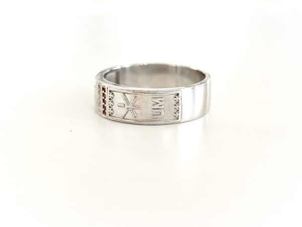 Imagem WhatsApp 2025-04-09 às 15.33.05_ee12cfa6 Anel Académico Mocho