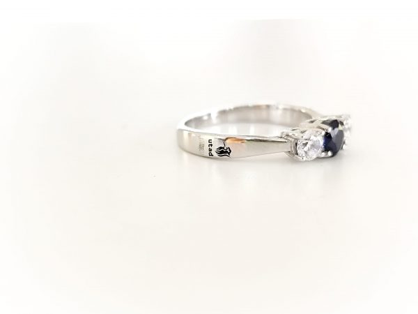 Imagem WhatsApp 2025-04-09 às 15.33.11_47c3ec2a Anel Académico Mocho