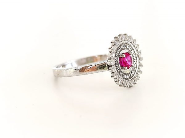 Imagem WhatsApp 2025-04-09 às 15.33.12_b8e77002 Anel Académico Mocho