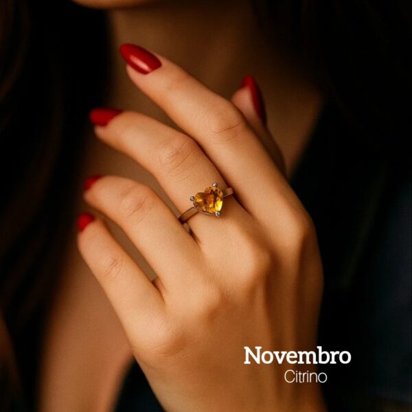 577344969_1274968567992888_4056561154178737334_n Anel