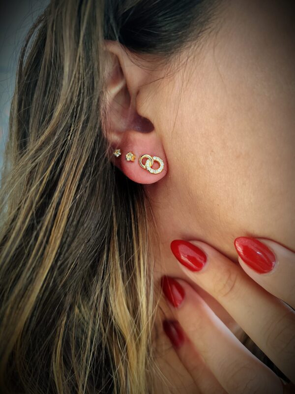 Imagem WhatsApp 2025-11-09 às 10.14.50_c7243c82 Brincos Laço de Luz II