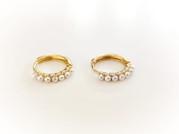 Imagem WhatsApp 2025-11-09 às 10.35.23_d2a11f25 Argolas Pérola Classica