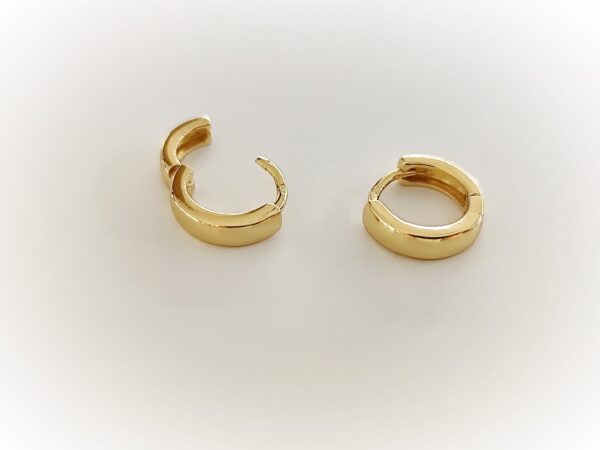 Imagem WhatsApp 2025-11-09 às 10.35.25_2c2b2a77 Argolas Essência Lisa