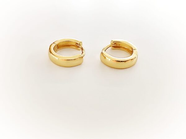 Imagem WhatsApp 2025-11-09 às 10.35.25_b8513627 Argolas Essência Lisa