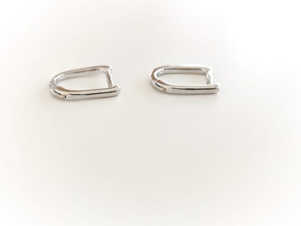 Imagem WhatsApp 2025-11-09 às 10.35.27_1584d7ce Argolas efeito