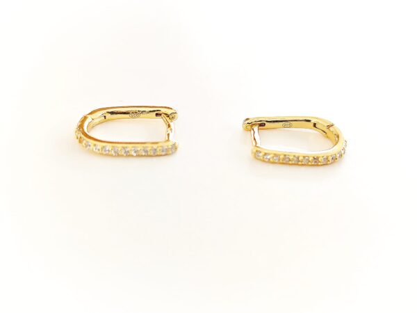 Imagem WhatsApp 2025-11-09 às 10.35.27_47578da0 Argolas efeito