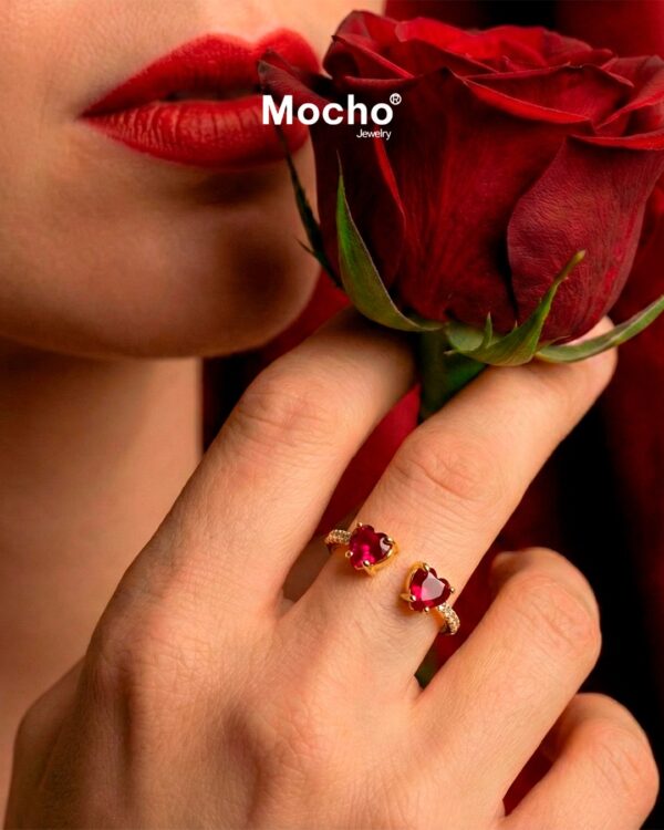 ce7d4352-dadc-4d50-b883-ba68442c6c7d Anel Paris S. Valentim