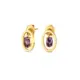 Set One Birthstone FEVEREIRO