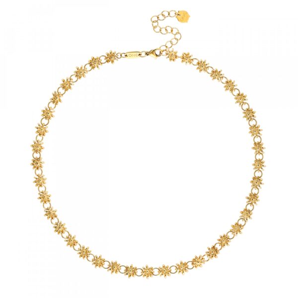 1770132469_51f1ce3d947d51153f233f5c116c43a8 Colar One Neckmess Daisy Golden