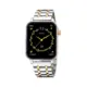 Group_1799 Smartwatch One Frame Bicolor Links